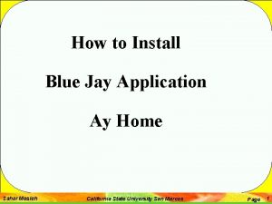 Blue jay application