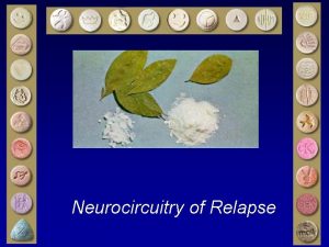 Neurocircuitry of Relapse Circuitry Mediating Motivated Behavior Opioids