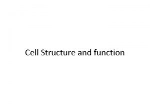 Cell Structure and function Eukaryotic Cell Structure What