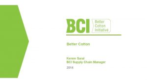 Better Cotton Kerem Saral BCI Supply Chain Manager