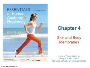 Chapter 4 Skin and Body Membranes Lecture Presentation