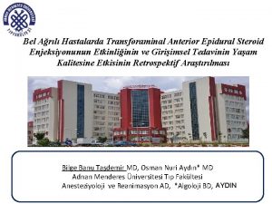 Bel Arl Hastalarda Transforaminal Anterior Epidural Steroid Enjeksiyonunun
