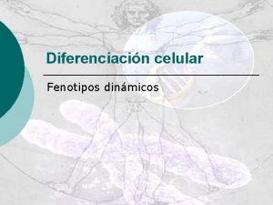Diferenciacin celular Fenotipos dinmicos Contenidos Desarrollo embrionario Genes
