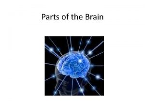 Medulla oblongata function