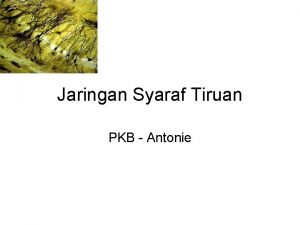 Jaringan Syaraf Tiruan PKB Antonie Biological Inspiration Animals