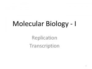 Molecular Biology I Replication Transcription 1 STRUCTURE OF