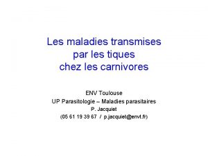 Les maladies transmises par les tiques chez les