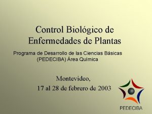 Control Biolgico de Enfermedades de Plantas Programa de