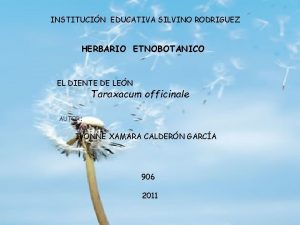 INSTITUCIN EDUCATIVA SILVINO RODRIGUEZ HERBARIO ETNOBOTANICO EL DIENTE