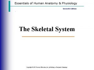 Essentials of Human Anatomy Physiology Seventh Edition The