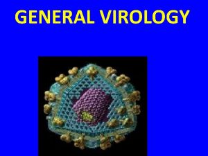 Viruses are the smallest infectious agents