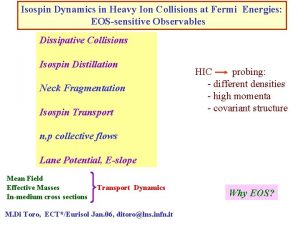 Isospin Dynamics in Heavy Ion Collisions at Fermi