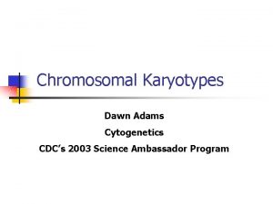 Chromosomal Karyotypes Dawn Adams Cytogenetics CDCs 2003 Science