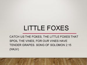 LITTLE FOXES CATCH US THE FOXES THE LITTLE