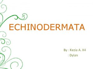 ECHINODERMATA By Kezia A X 4 Dylan Echinodermata