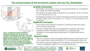 The enhancement of the terrestrial carbon sink by