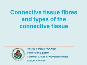 Connective tissue fibres and types of the connective