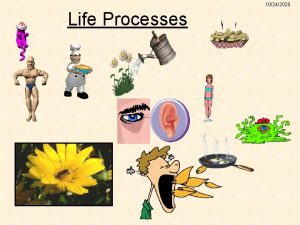 10242020 Life Processes Signs of life 10242020 Serious