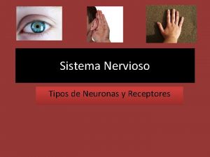 Mecanorreceptores y nociceptores