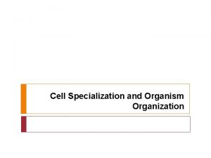Cell specialization definition Cell specialization definition