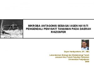 Mikroba antagonis adalah