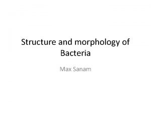 Structure and morphology of Bacteria Max Sanam Perhaps