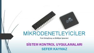 MKRODENETLEYCLER Port Girik ve BitByte lemleri SSTEM KONTROL