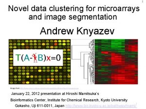 1 Novel data clustering for microarrays and image