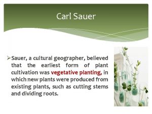 Carl Sauer Sauer a cultural geographer believed that