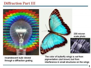 Diffraction Part III 200 micron scale photo Incandescent