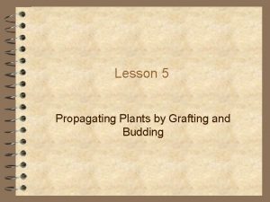 Lesson 5 Propagating Plants by Grafting and Budding