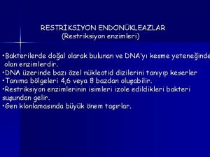 RESTRKSYON ENDONKLEAZLAR Restriksiyon enzimleri Bakterilerde doal olarak bulunan