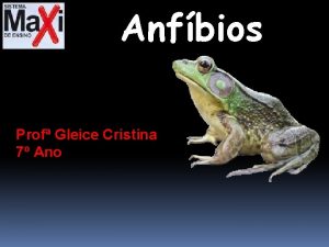 Anfbios Prof Gleice Cristina 7 Ano CARACTERIZAO GERAL