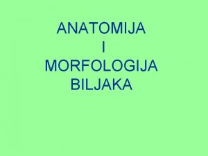 ANATOMIJA I MORFOLOGIJA BILJAKA MORFOLOGIJA BILJAKA fitomorfologija gr