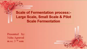 Scale of Fermentation process Large Scale Small Scale