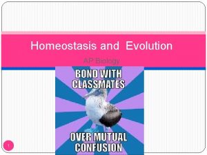 How is homeostasis maintained How is homeostasis maintained