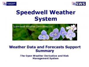 Speedwell Weather System Weather Data and Forecasts Support