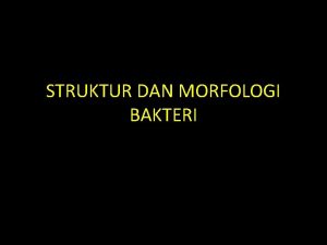 Struktur bakteri Struktur bakteri