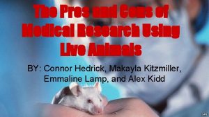 Pros and cons animal testing