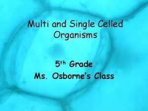 Multi and Single Celled Organisms 5 th Grade