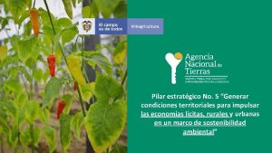 Pilar estratgico No 5 Generar condiciones territoriales para