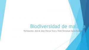 Biodiversidad de malasia