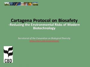Cartagena Protocol on Biosafety Reducing the Environmental Risks