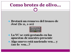 Como brotes de olivo