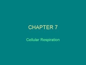 Redox reaction in cellular respiration