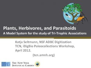 Plants Herbivores and Parasitoids A Model System for