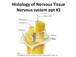 Nervous tissue histology ppt
