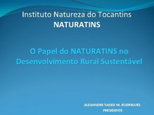 Instituto Natureza do Tocantins NATURATINS O Papel do