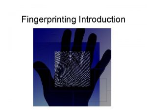 The three principles of fingerprints