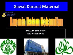 Gawat Darurat Maternal MALVIN EMERALDI RSUP Fatmawati Hemopoesis